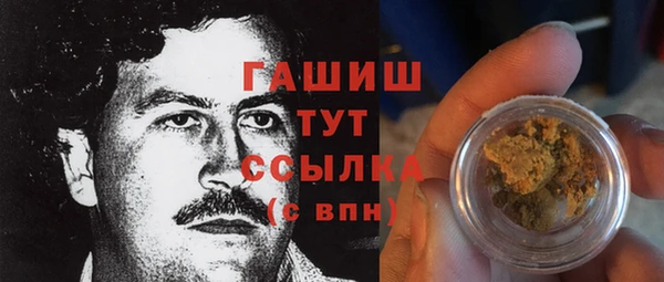 прущие грибы Алзамай