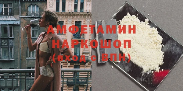 индика Алексин