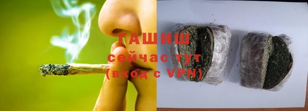 прущие грибы Алзамай