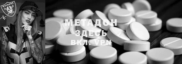 прущие грибы Алзамай