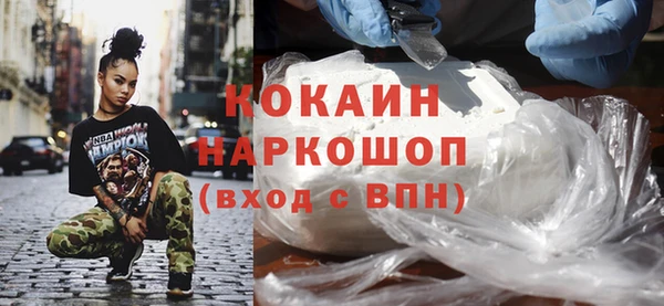 прущие грибы Алзамай