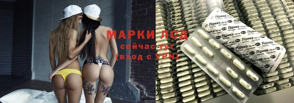 индика Алексин