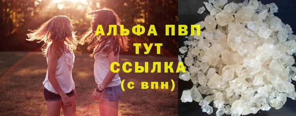 индика Алексин
