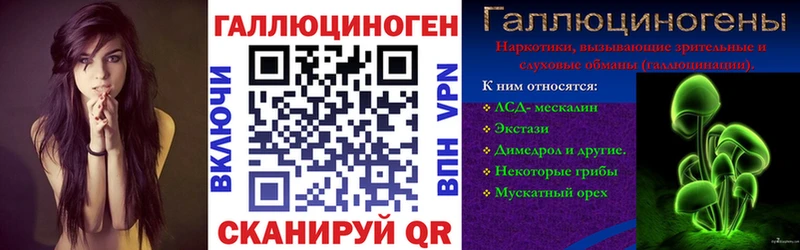Псилоцибиновые грибы MAGIC MUSHROOMS  блэк спрут как зайти  Новомичуринск 
