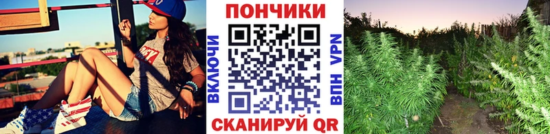 Марихуана планчик  Новомичуринск 